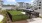 Outdoor dog park with buildings in the background